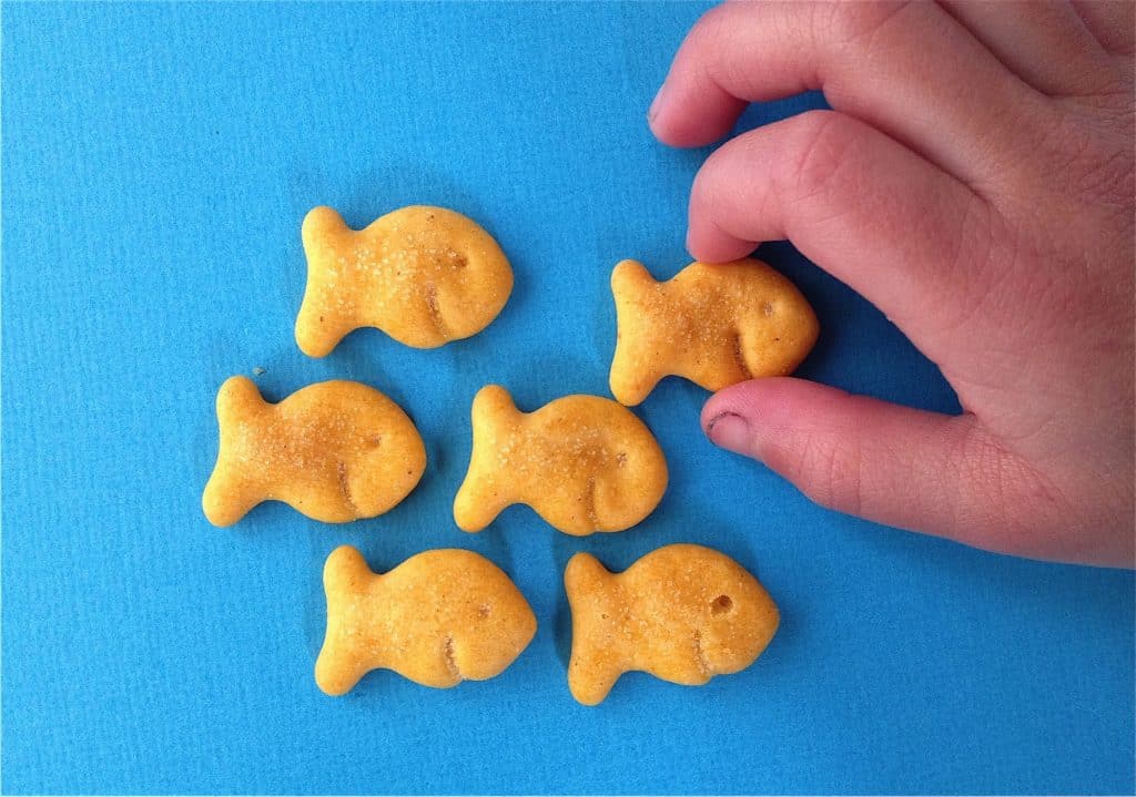 お菓子を並べる お菓子を並べる